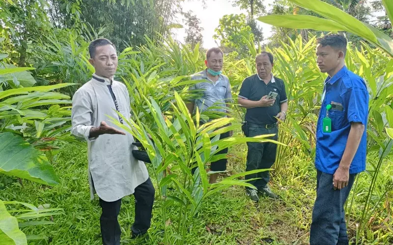 Tanah Kavling Maros - Galeri (3)